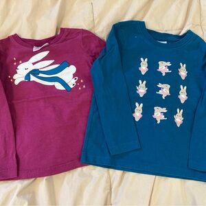 Hanna Andersson Long Sleeve Tees - Purple and teal 
with Bunny Designs
